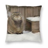 Pallas'S Cat Is Warming His Paws Square Pillowcase Polyester Linen Velvet Pattern Decor Throw Pillow Case Car Cushion Cover 18 Linen 66*66(CM)-1Pcs gray