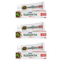 Sri Sri Tattva Sudanta Red Ayurvedic Toothpaste | Herbal Actives For Fresh Breath, Strong Gums & Cavity Protection | Sulphate-Free, Non-Fluoride, N white
