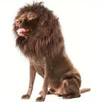 Lion Mane Wig with Ears for Dogs - Pet Costume Headgear for Halloween Medium ruda