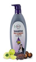 Ayur herbal Amla and Shikakai shampoo for men and women | Controls Dandruff & Reduces Hairfall | Suitable for All Hair Types (500ml) gray