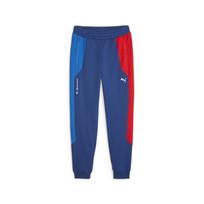 Puma BMW MMS men's sweatpants blue 62122204 r S blue