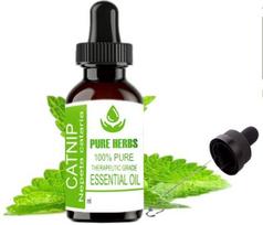 Pure Herbs Catnip 100% Pure & Natural Nepeta Cataria Essential Oil ZA 271 30ml