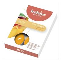 Žvakė, aromatinė/arbatinė Bolsius True Scents Mango, 4 h, 6 vnt., oranžinė sp.
