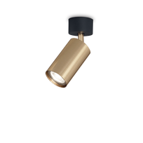 Lubinis šviestuvas Dynamite Pl1 Ottone Satinato 244662