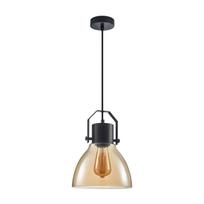 Pakabinamas šviestuvas Darlena  PND-22371-1-BK+AMB