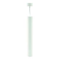 Lubinis/pakabinamas LED šviestuvas 500mm, 10W, 3000K, baltas