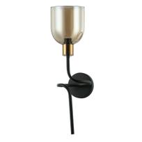 Sieninis šviestuvas Servio  WL-66892-1A-BK-AMB