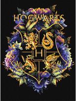 Tapyba pagal skaičius IDEYKA Harry Potter Hogvartso herbas, su metaliko dažais, 30 x 40 cm