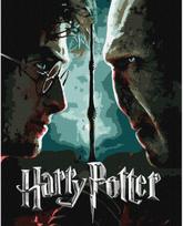 Tapyba pagal skaičius IDEYKA Harry Potter Haris ir Voldemortas, su metaliko dažais, 40 x 50 cm