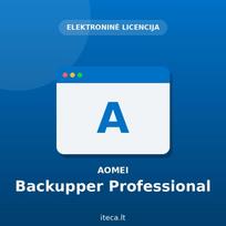 AOMEI Backupper Professional – atsarginių kopijų programa (ESD, neribota licencija)