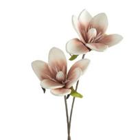 Dirbtinė gėlė, magnolija Flore 748, rožinė sp., 70 cm x 17 cm