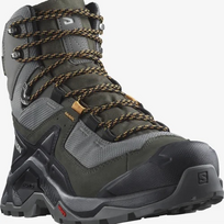 SALOMON batai Quest Element GTX pewter/beluga/buckskin