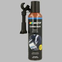 Montavimo pasta MOTIP 090313