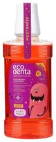 Burnos skalavimo skystis Ecodenta, 250 ml