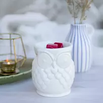 Candle Brothers Pelėdos arbatinės žvakutės kvapų lempa
