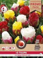 Svogūninės gėlės tulpė ICE CREAM DELIGHT MIX, 11 - 12 mm, 10 vnt.