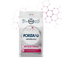 FORZA10 VetDiet INTESTINAL katėms