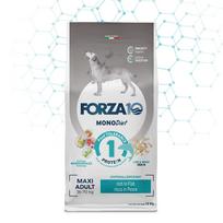 FORZA10 Monodiet Maxi Adult šunims su žuvimi