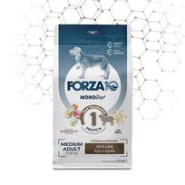 FORZA10 Monodiet Medium Adult šunims su ėriena