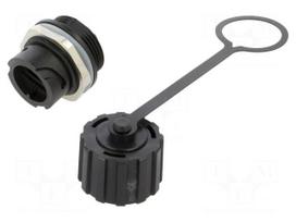 Connector: RJ45 | socket | data transfer | 17 | PIN: 8 | Cat 5e | 8p8c
