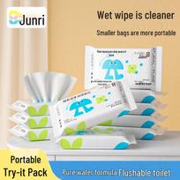 Travel Wet Toilet Wipes white
