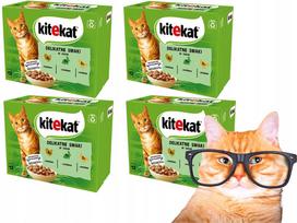 Katės ėdalas Kitekat Delicate Flavors, 48 x 85 g