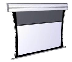 Projektoriaus ekranas ADEO MULTIFORMAT TENSIO CLASSIC 254x300 cm