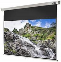 Rankinis projektoriaus ekranas Celexon Professional 180 cm 16:9