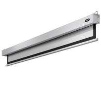 Projektoriaus ekranas Celexon Professional PLUS 220 165