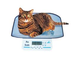Veterinarinės svarstyklės Momert 6550 20 kg/10 g katėms ir mažiems šunims