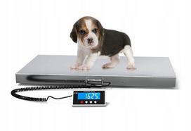 Gyvūnų svarstyklės SF809, iki 500 kg/100 g, 100x50 cm, nerūdijančios plieno