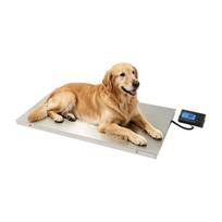 Gyvūnų svarstyklės su LCD, 103.5x53 cm, 0.4–300 kg, sidabrinės