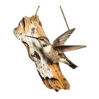Paukščio ornamentas 2D medinis paukštis kabantis ženklas Rustic dekoratyvinė sieninė plokštelė sodybos verandos kiemo sienos dekorui E beige