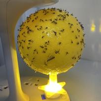 1Pc Fruit Fly Traps Flying Insects Traps Ball Multifunction Flying Insects Trap Citrus Shaped For Indoor Outdoor yellow