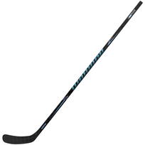 WARRIOR Covert Deluxe Youth ledo ritulio lazda