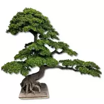 Dekoratyvinis dirbtinis bonsai medis, 210 cm
