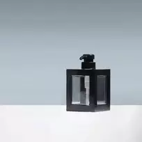 Muilo dozatorius su pompa, 500 ml.