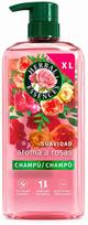 Šampūnas Herbal Essences Rose, 630 ml