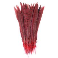 10vnt Daugiaspalvės vištienos plunksnos Natūralios fazano uodegos plunksnos 25-30 cm vakarėliams papuošalams gaminti plunksnų dekoravimui 25-30 CM raudona