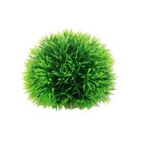 Dirbtinis vandens augalas Spalvingas kankorėžio formos rutulys Akvariumo žolės ornamentas Dekoratyvinis rutulys Terariumo akvascape dekoras Ornamentas akvariumui 1 green