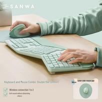 SANWA Ergonomic Wireless Keyboard and Mouse Combo