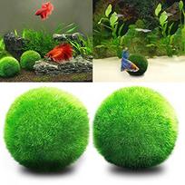 Gyvas Žalias Jūros Dumblių Kamuolys Akvariumo Žuvų Bakui Dekoracija green #1