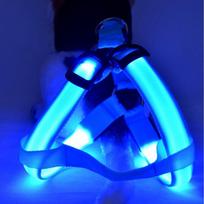 LED šviečianti šuns pakinktai su naktiniu apšvietimu ir ištraukiamu pavadėliu vidutinio ir didelio dydžio šunims Width 2.5CM: XL 60-70cm raudona
