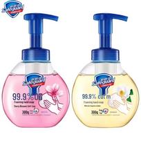 Safeguard Foaming Hand Wash Twin Pack blue