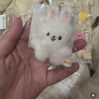 Nauji 32 stilių Stray kids 10 cm aukščio pliušinio žaislo raktų pakabuko dekoravimo pakabukas SKZOO kawaii krepšio dekoracija švelnus mielas gyvūnėlio lėlė Leebit gray