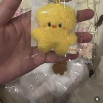 Nauji 32 stilių Stray kids 10 cm aukščio pliušinio žaislo raktų pakabuko dekoravimo pakabukas SKZOO kawaii krepšio dekoracija švelnus mielas gyvūnėlio lėlė BbokAri beige