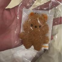 Nauji 32 stilių Stray kids 10 cm aukščio pliušinio žaislo raktų pakabuko dekoravimo pakabukas SKZOO kawaii krepšio dekoracija švelnus mielas gyvūnėlio lėlė QUOKKA brown