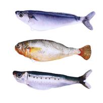 3pcs Realistic Flopping Fish Cat Toy Interactive Touch Activated Catnip Plush Chew Toy Rechargeable for Kittens Cats gray