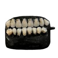 3D Fake Teeth Earbud Case Compatible for AirPods 1/2/3/4 for AirPods Pro 1/2/3 Denture Wireless Earphone Charging Case Cover Protective Shell A juoda