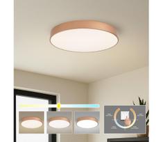 BRILAGI - LED lubų šviestuvas. POOL LED/60W/230V 3000/4000/6000K skersmuo 60 cm bronzinė